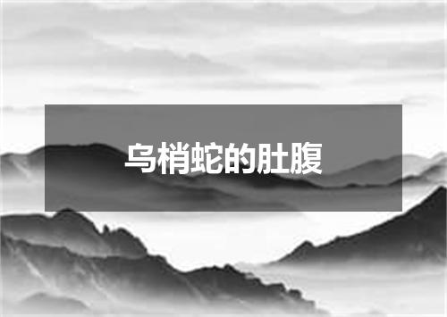 乌梢蛇的肚腹