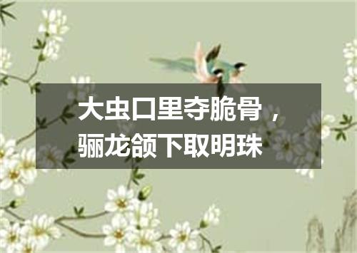 大虫口里夺脆骨，骊龙颌下取明珠
