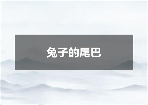 兔子的尾巴