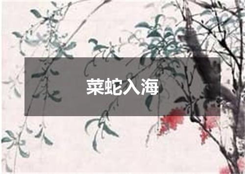 菜蛇入海
