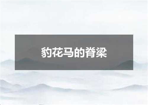 豹花马的脊梁