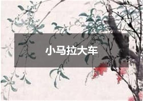 小马拉大车