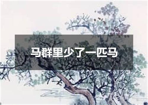 马群里少了一匹马
