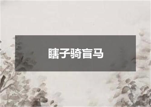 瞎子骑盲马