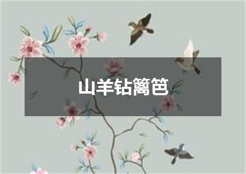 山羊钻篱笆