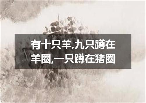 有十只羊,九只蹲在羊圈,一只蹲在猪圈