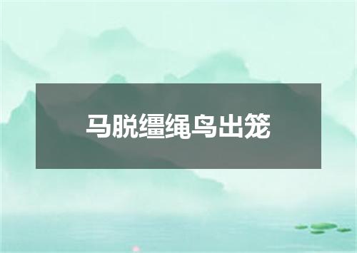 马脱缰绳鸟出笼