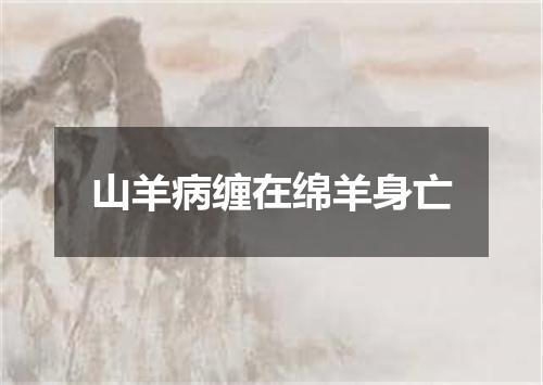 山羊病缠在绵羊身亡