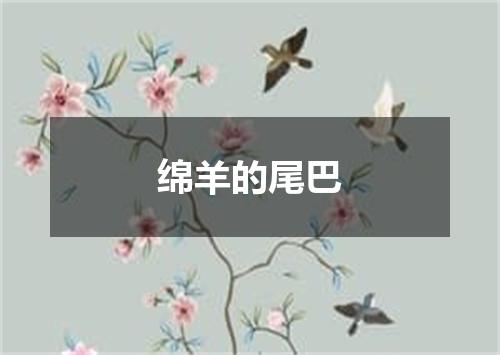 绵羊的尾巴
