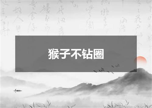 猴子不钻圈