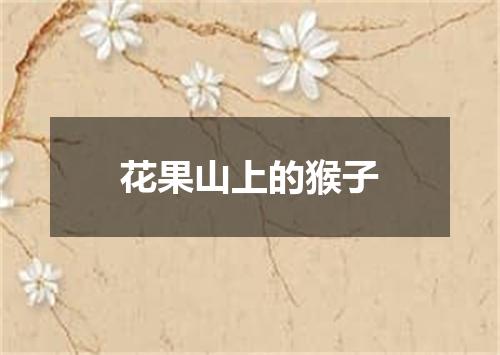 花果山上的猴子