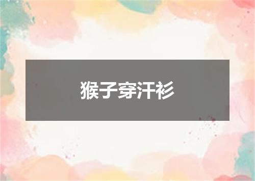 猴子穿汗衫