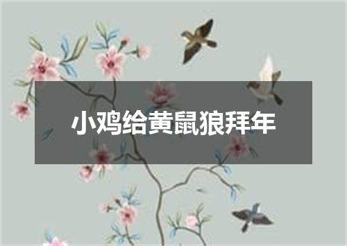 小鸡给黄鼠狼拜年