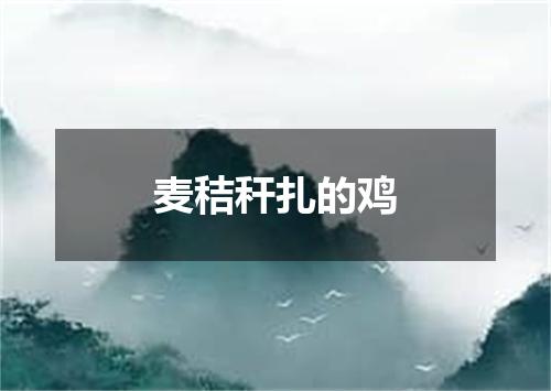 麦秸秆扎的鸡