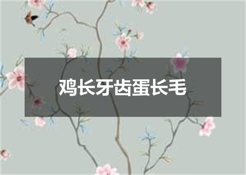 鸡长牙齿蛋长毛