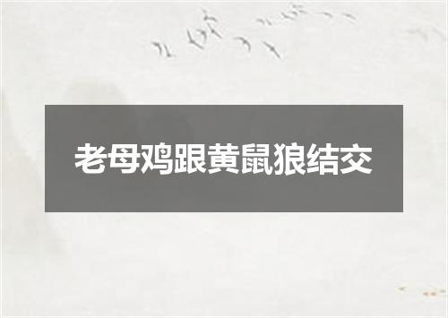 老母鸡跟黄鼠狼结交