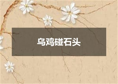 乌鸡碰石头