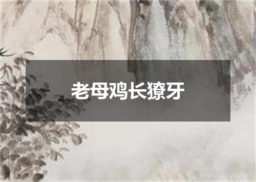 老母鸡长獠牙