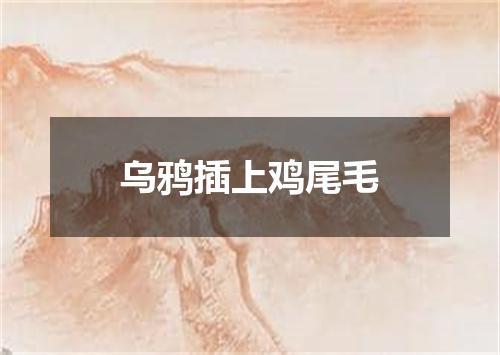 乌鸦插上鸡尾毛