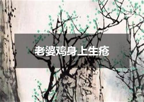 老婆鸡身上生疮