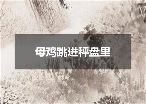 母鸡跳进秤盘里