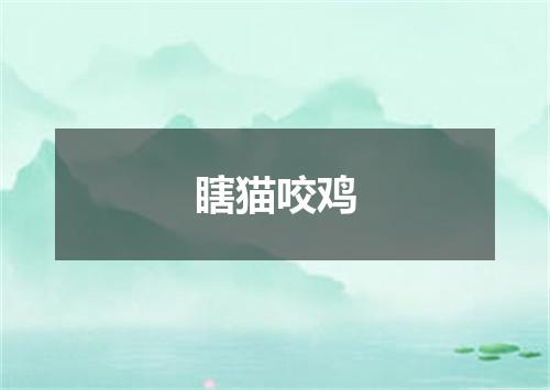 瞎猫咬鸡