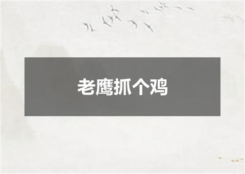 老鹰抓个鸡