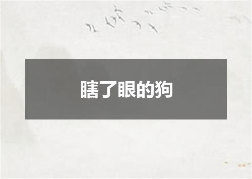 瞎了眼的狗