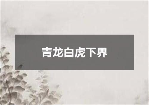 青龙白虎下界