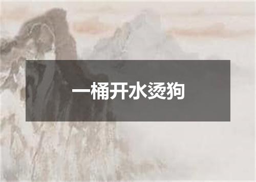 一桶开水烫狗