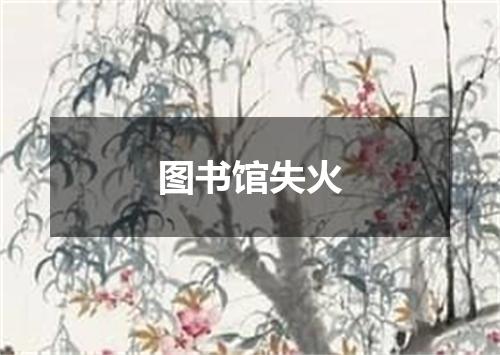 图书馆失火