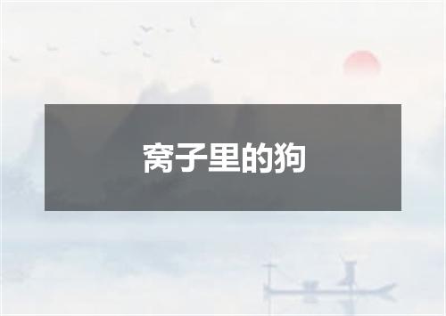 窝子里的狗