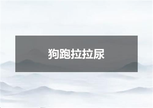狗跑拉拉尿