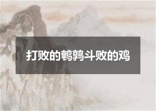 打败的鹌鹑斗败的鸡