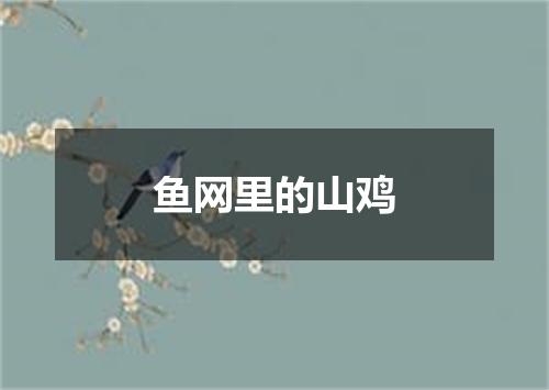 鱼网里的山鸡