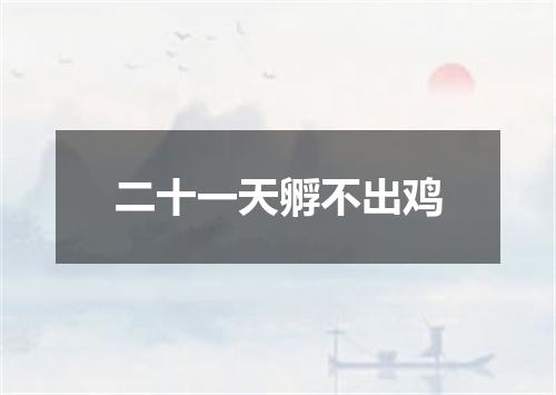 二十一天孵不出鸡