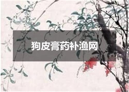 狗皮膏药补渔网
