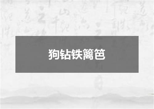 狗钻铁篱笆