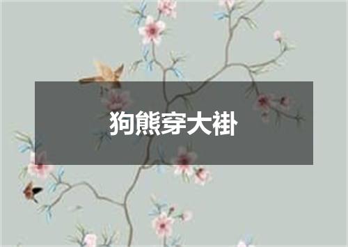 狗熊穿大褂