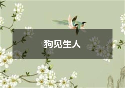 狗见生人