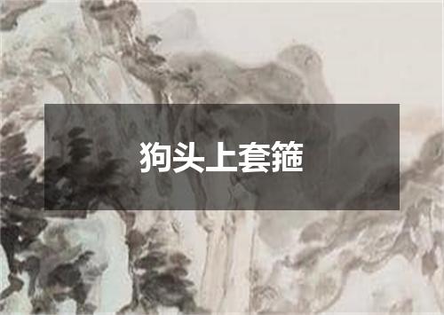 狗头上套箍