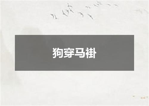 狗穿马褂