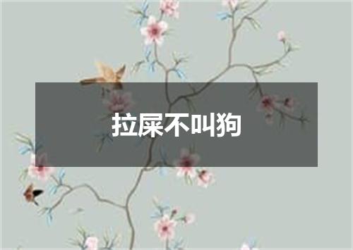 拉屎不叫狗