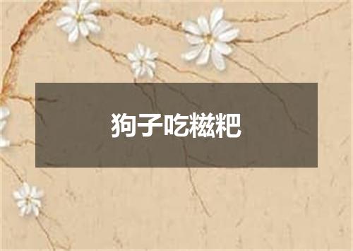 狗子吃糍粑