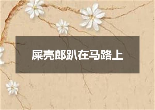 屎壳郎趴在马路上
