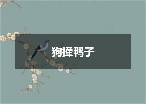 狗撵鸭子