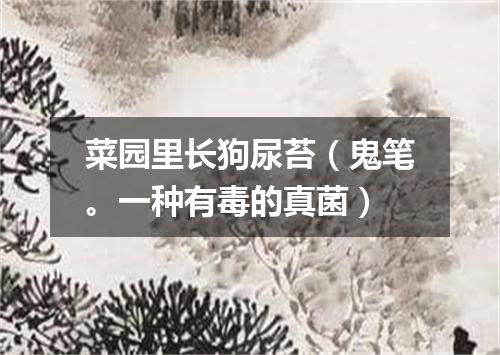 菜园里长狗尿苔（鬼笔。一种有毒的真菌）