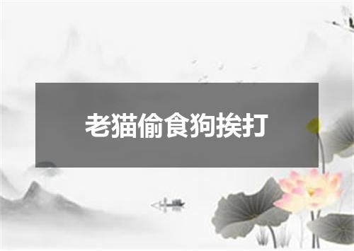 老猫偷食狗挨打