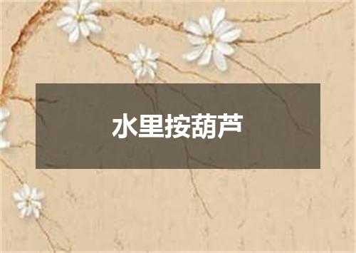 水里按葫芦