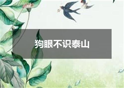狗眼不识泰山